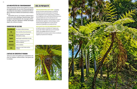 media/pim/13096634_1cjevb8a_5_0bc00