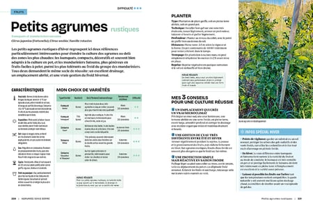 media/pim/13096826_1t904j41_9_8c99a