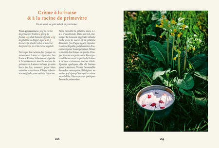 media/pim/13097294_hl5g4fkt_8_61201