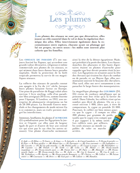 media/pim/13099094_1aiw2c9c_6_c2312