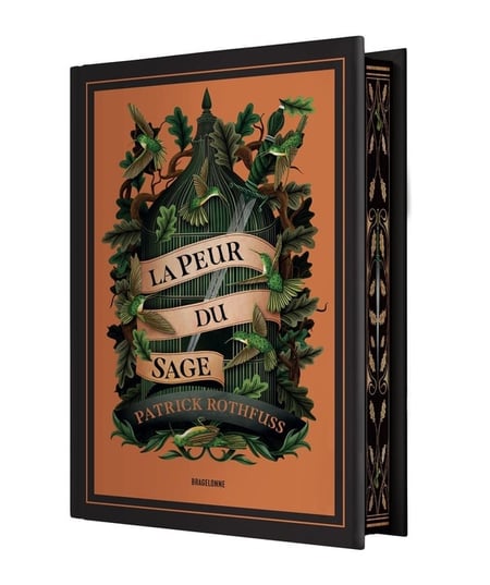 Chronique du Tueur de Roi, T2 : La Peur du Sage