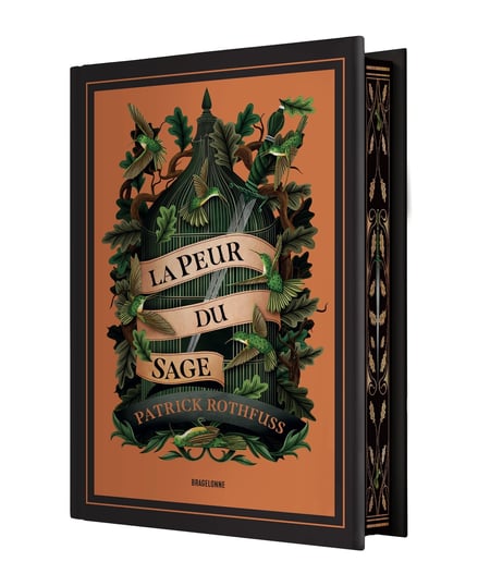 Chronique du Tueur de Roi, T2 : La Peur du Sage