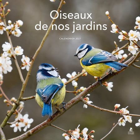 media/pim/13104475_b8phrn91_1_f4da9