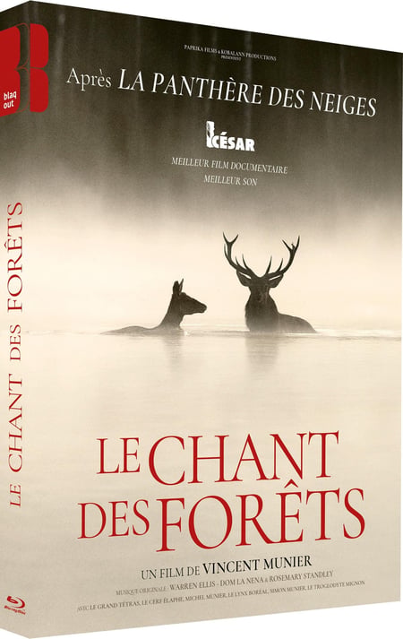 Le Chant des forêts