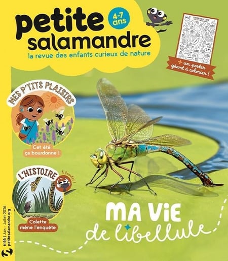 La petite salamandre n°66 - Juin 2026