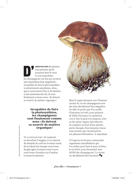 media/pim/13121481_12nfdt14_6_5a6fd