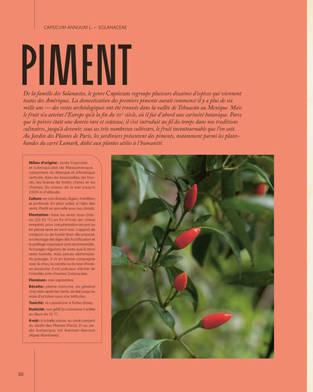 media/pim/13121569_xogpgjkj_5_416d1