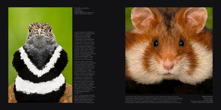 media/pim/13180105_qirp20tw_3_e5749
