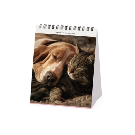 media/pim/13184883_ecokbbej_2