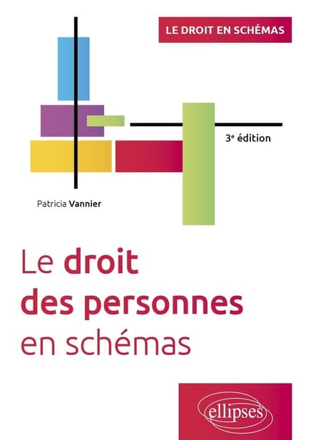 Le droit des personnes en schémas (3e édition)