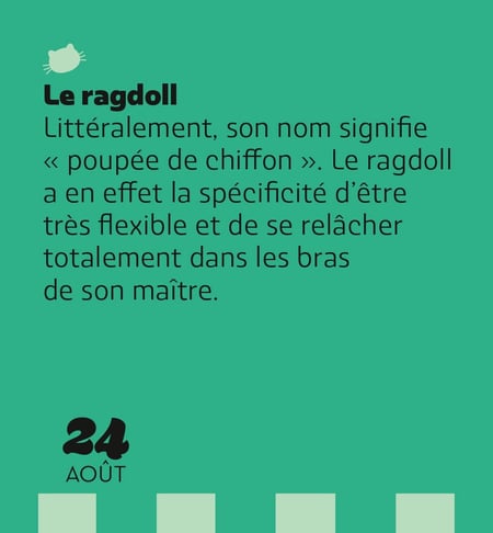 media/pim/13224456_17rz1fpk_7_7d761
