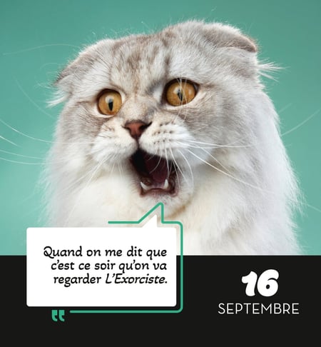 media/pim/13224456_1o7mck9l_8_49510