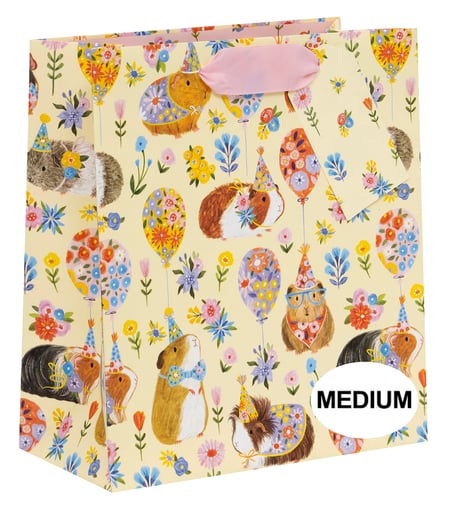 Sac cadeau Pictura - Fête des cochons d'Inde - Taille L 10 x 20 x 22 cm