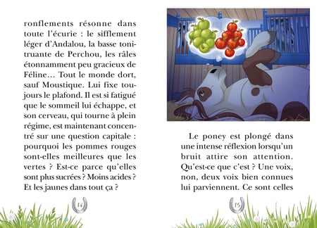 media/pim/13241222_1ktv0vvq_6_b7856