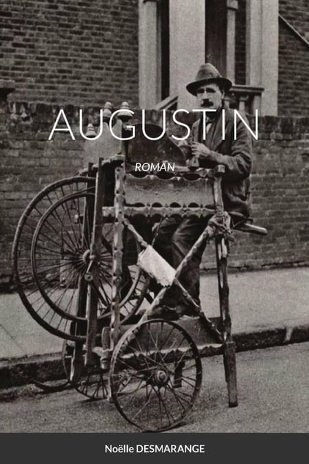 AUGUSTIN : ROMAN