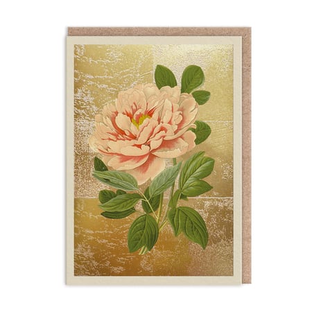 Carte de vœux Ohh Deer - Pivoine