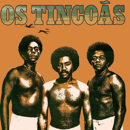 Os Tincoas / Edition Limitee Couleur Orange