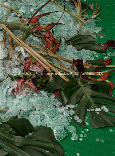 Abbas akhavan: variations on a garden /anglais