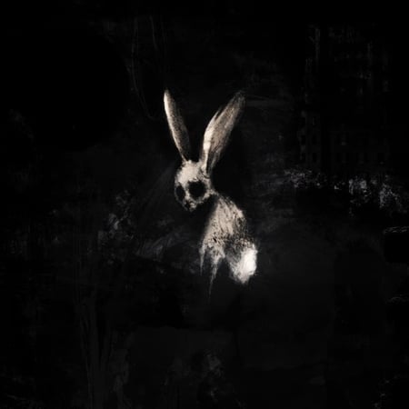 Follow The White Rabbit - édition limitée - CD