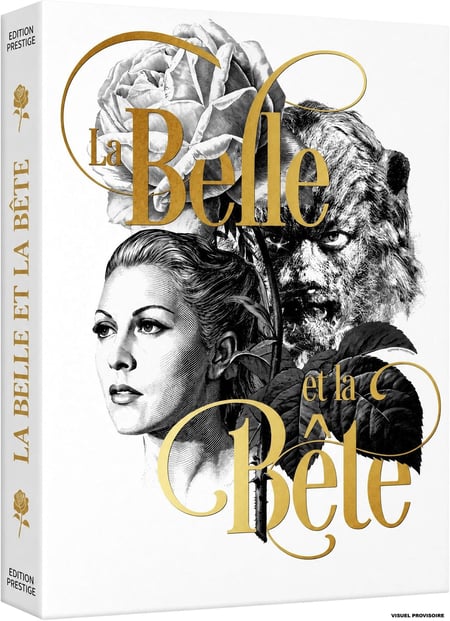 La Belle et la Bête