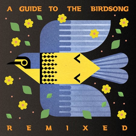 A Guide To The Birdson (Import)