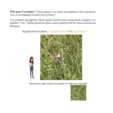 media/pim/13338580_tpgf3o3a_4_6d23e