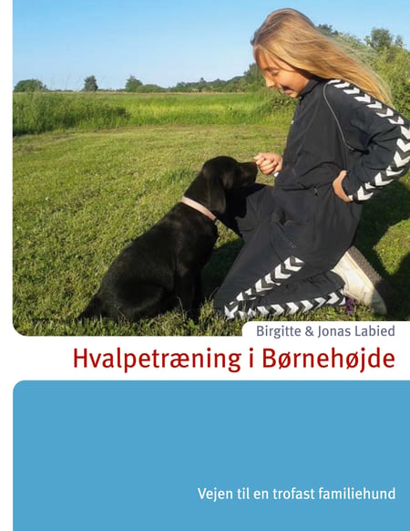 media/pim/14_metadata-image-48978691.jpeg