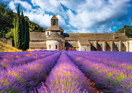media/pim/1500p-abbaye-senanque-4005556878017_1.JPG
