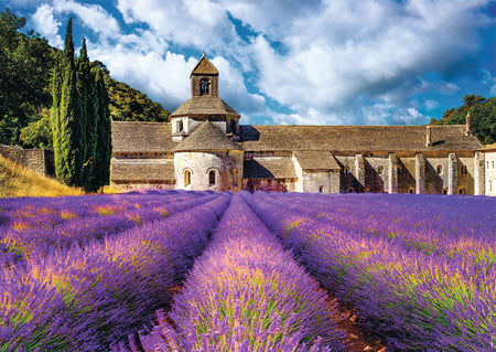 media/pim/1500p-abbaye-senanque-4005556878017_7.jpg
