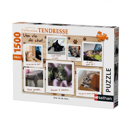 media/pim/1500p-chatons-pinterest-4005556877782_0.JPG
