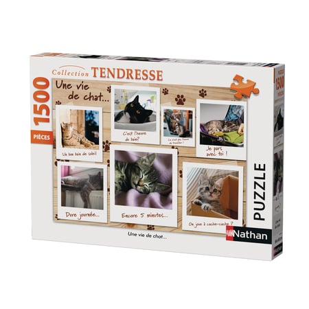 media/pim/1500p-chatons-pinterest-4005556877782_6.jpg