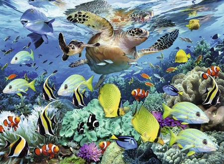 media/pim/150p-le-paradis-sous-l-eau-4005556100095_5.jpg