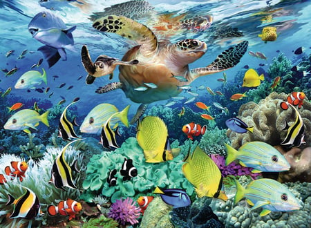 media/pim/150p-le-paradis-sous-l-eau-4005556100095_8.jpg