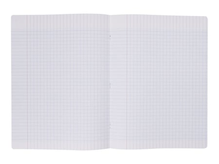 Cahier - 24 x 32 cm - 48 pages grands carreaux - Transparent