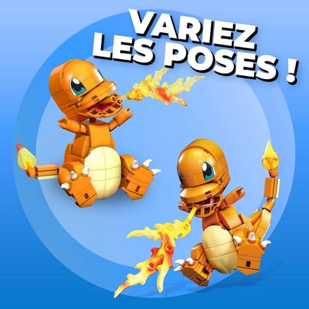 media/pim/16_3862652_16_110_FR.JPG