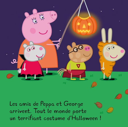 media/pim/1731068_image_type_product_shot_HACHETTE_2_FR_1d0df