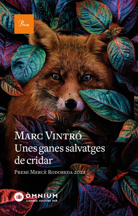 media/pim/17_metadata-image-66208077.jpeg