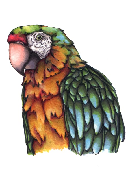 media/pim/184250_1gbemrn6_5