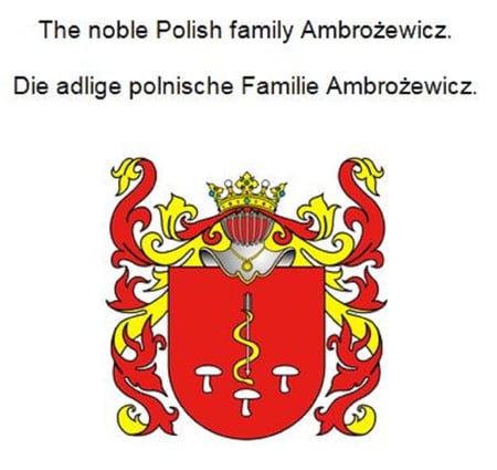 media/pim/18_metadata-image-71059184.jpeg