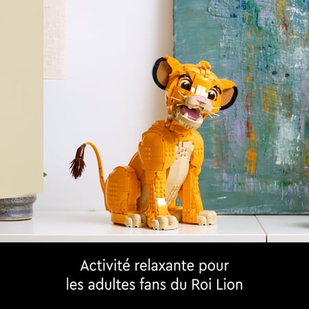 media/pim/19_10556028_8_30_FR.jpg