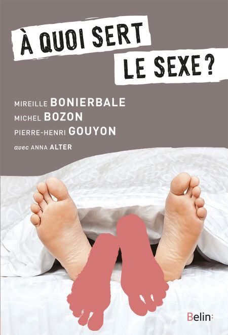 media/pim/1_cf6e6d78-203d-4464-b5da-376320385d17.jpeg
