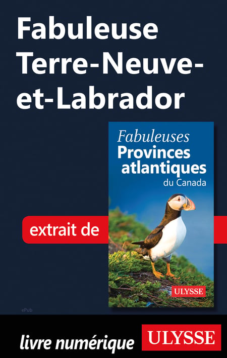 media/pim/1_metadata-image-51511100.jpeg