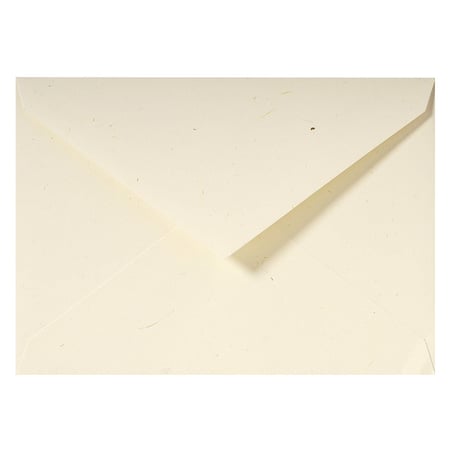 media/pim/20-env-paille-c5-20-env-paille-c5-3140290206168_1.jpg