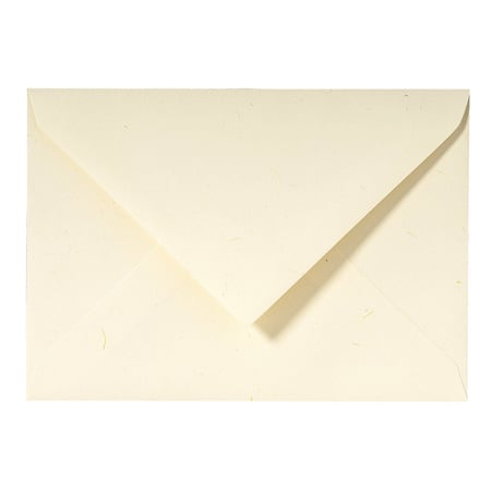 media/pim/20-env-paille-c6-20-env-paille-c6-3140290236165_1.jpg