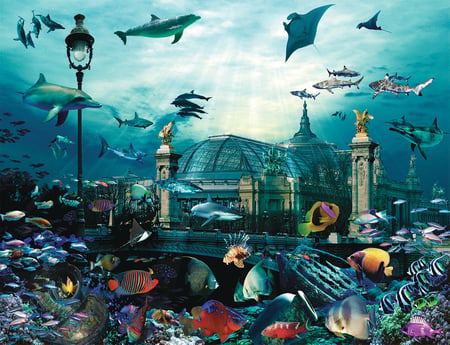 media/pim/2000p-grand-palais-aquarium-4005556878741_8.jpg