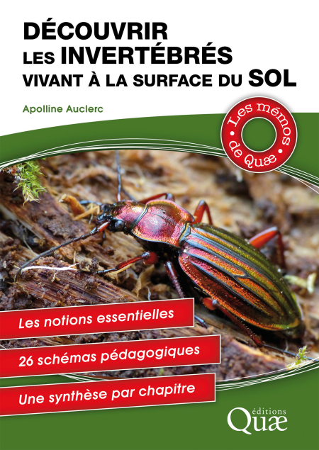 media/pim/20_5ee56520-061d-4c71-a70d-6cdde44a7641.jpeg