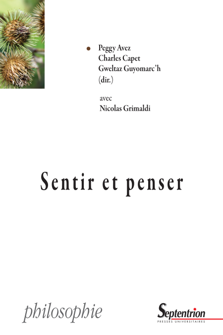 media/pim/20_e543272a-beaa-4883-a1a3-35b0442fd6f0.jpeg