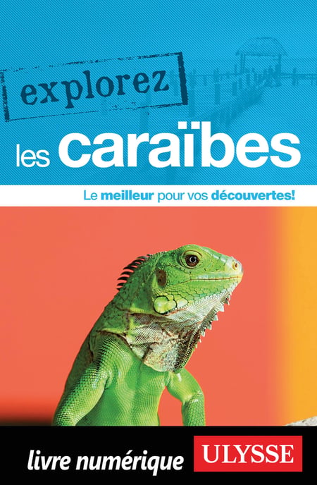 media/pim/20_metadata-image-15572266.jpeg