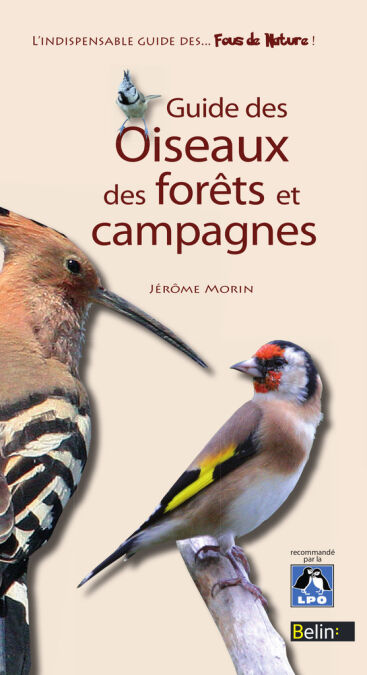 media/pim/21_c2c34a48-0a3b-483f-8c1a-4736596d943c.jpeg