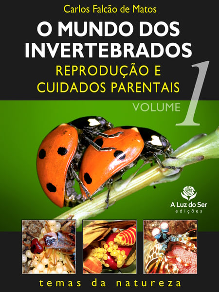 media/pim/21_standalone-image-1872058.jpg